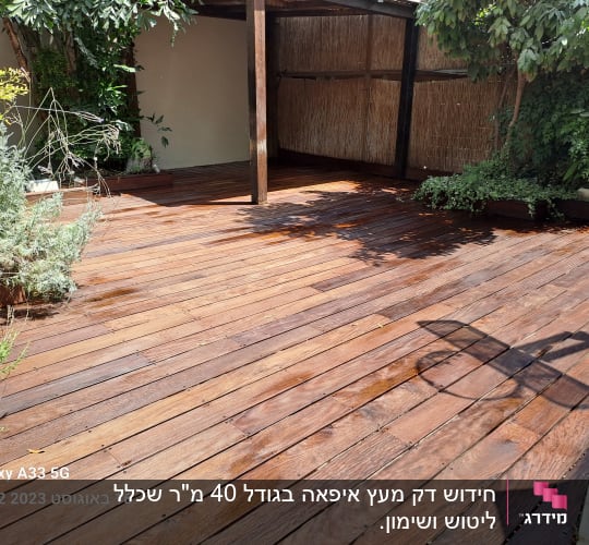 דק עץ בגינה עם צמחים מסביב וצל של כיסא